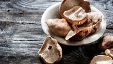 7 ползи от гъбите шийтаке