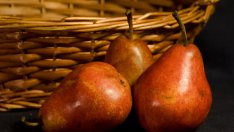 Полезните свойства на крушите