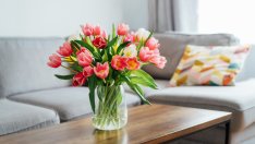 Как правилно да съхранявате луковиците на лалета за пролетта