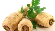 Полезни свойства на корена от магданоз 