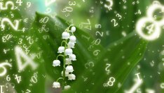 Седмична нумерологична прогноза за 21 – 27 април