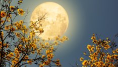 3 зодии с най-голям късмет на пълнолунието на 7 септември