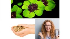 3 символа на късмета разкриват какво да промените