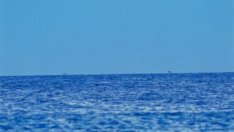 Лунна диета – юли 2013