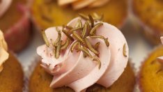 Едни от най-безумните методи за отслабване