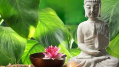 Китайските зодии и техните фъншуй елементи за щастие