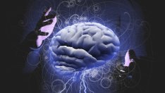 Знаете ли, че... 60% от мозъка представлява мастна тъкан?