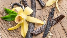 Ароматната ванилия подобрява настроението и е афродизиак