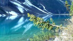 Едни от най-добрите ски курорти по света