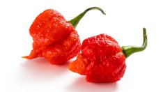 Третият сезон на MasterChef – повече от горещ