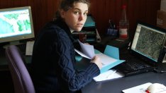 Защо шефът не обича работохолици?