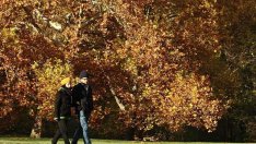 10 причини да излезете на любовна среща