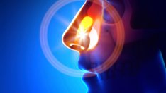 Какво помага при запушен нос и възпалени синуси?