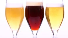 Невероятните употреби на бирата в дома и градината