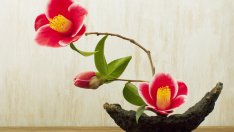 20 японски поговорки, които ще променят живота ви