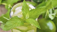 Напитка за детоксикиране на организма