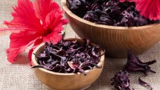 4 билки при подагра