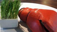 Мъжът удря първия шамар на жена си през бременността