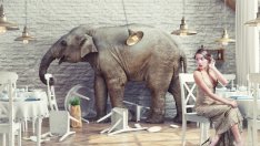 Малко жилище – много гости. Как да се справим? 