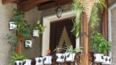 Висящите кошници – цвят и настроение