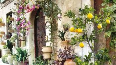 „Лимонов сладкиш с маково семе“ – Кристина Кампос