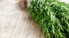 Подхранване на боядисана коса