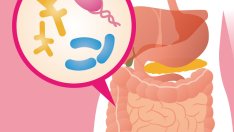 3 причини балансът на чревната флора да е от значение
