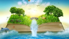 Поговорки от цял свят