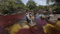 Природното чудо, наречено Реката с петте цвята (галерия)