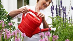 Домашен „чай за наторяване“