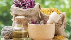 4 билки, регулиращи хормоните