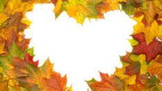 Малка есенна история в червено