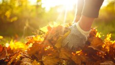 Как да зазимите градината?