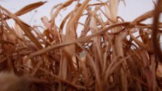 Житен режим топи мазнините и ни връща енергията