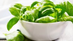 За бели зъби – босилек!