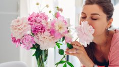 Кое е цветето, което символизира любов, късмет и сила?