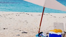 Българин се бори да спечели „Най-добрата работа в света“