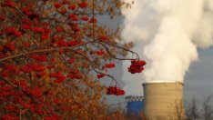 Екологията среща изкуството – изложба „Екоарт-12“ на Саша Тодорова