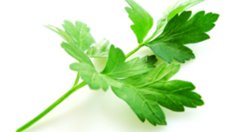 Магданозът е вълшебната съставка в една връзка!