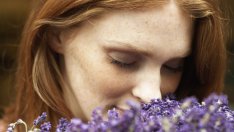 5-те най-ефикасни билки срещу тревожност