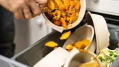 5 причини да пилеете пари заради изхвърляне на храна