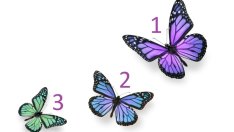 Изберете си пеперуда и вижте какъв март ви очаква