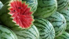 Динята – супер полезна! Защо?