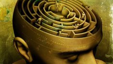 Трябва ли хората първо да изпитват емоции, за да могат да мислят?