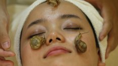 Терапия с охлюви подмладява кожата на лицето