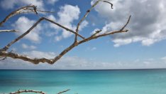 Махо бийч – красота на Карибите