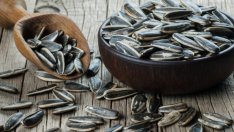 Слънчогледовото семе и неговите неочаквани ползи за здравето