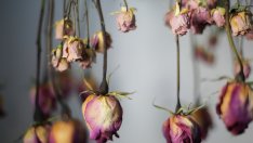 6 неща, които носят нещастие в дома