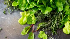 9 причини да ядете зеленолистни зеленчуци всеки ден 