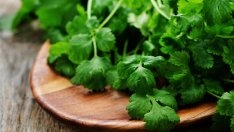 Как да използвате кориандър за млада и здрава кожа?